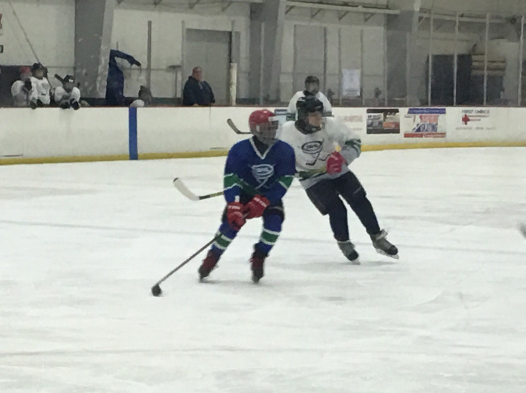 Aerodrome Ice Skating Complex-休斯顿必去景点