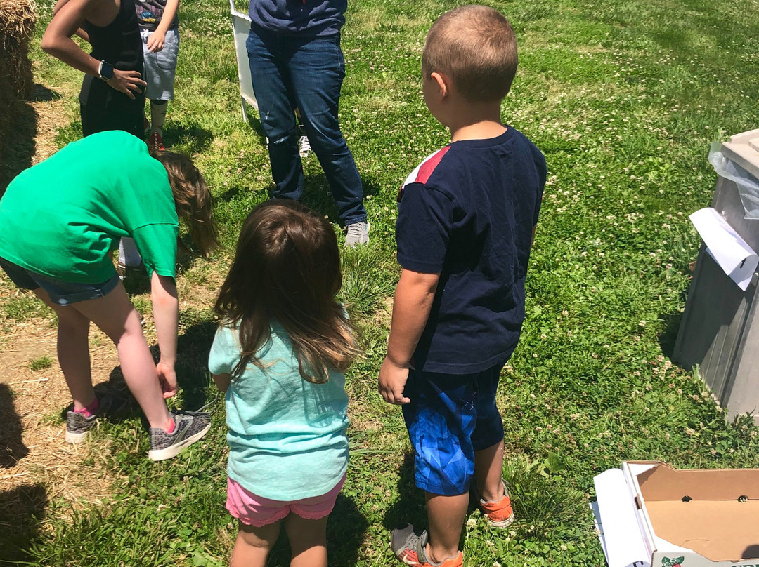 East Prospect旅游景点-Flinchbaugh's Orchard and Farm Market