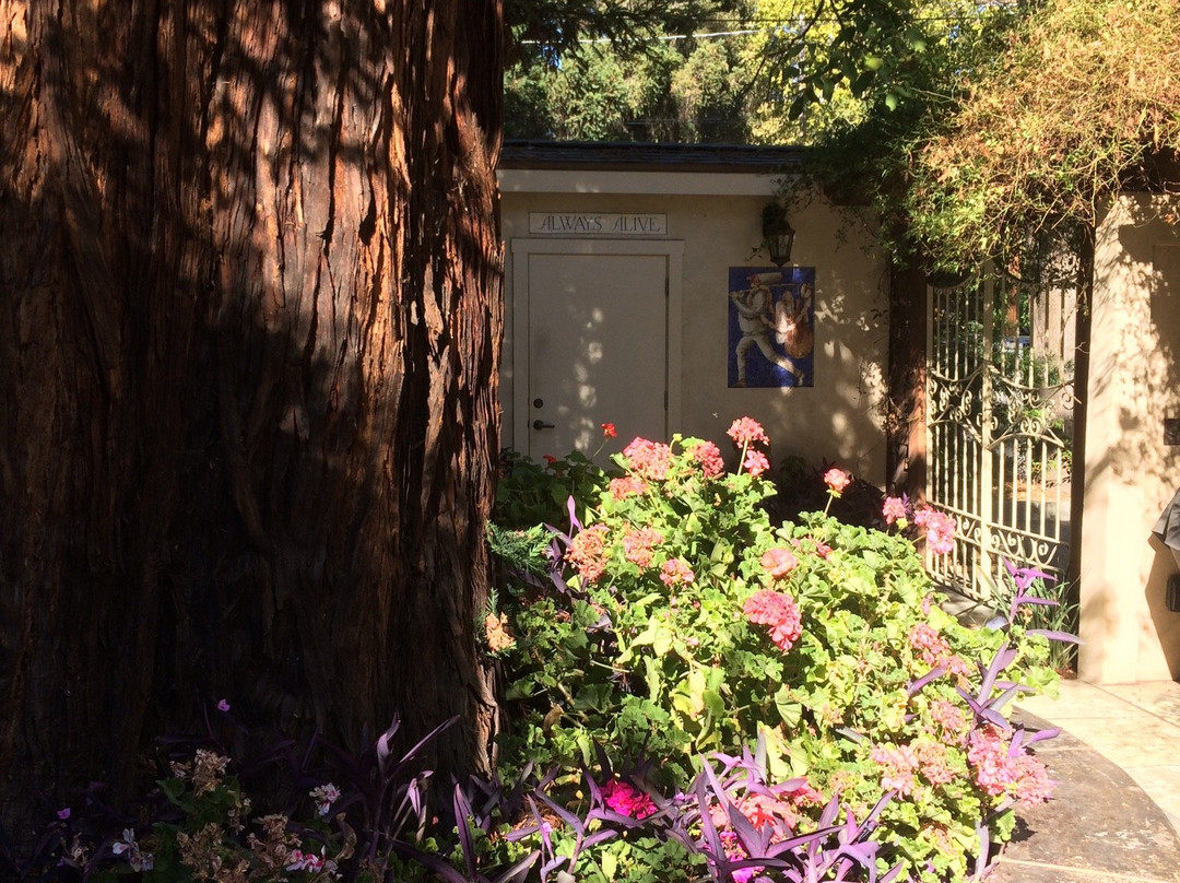 Romeo Vineyards & Cellars LLC景点图片