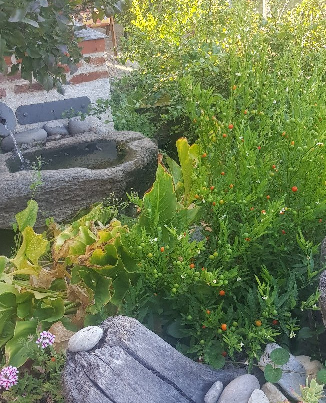 La Rosa de los Tiempos主图