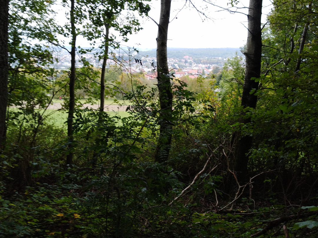 Aalbaeumle Aussichtsturm景点图片