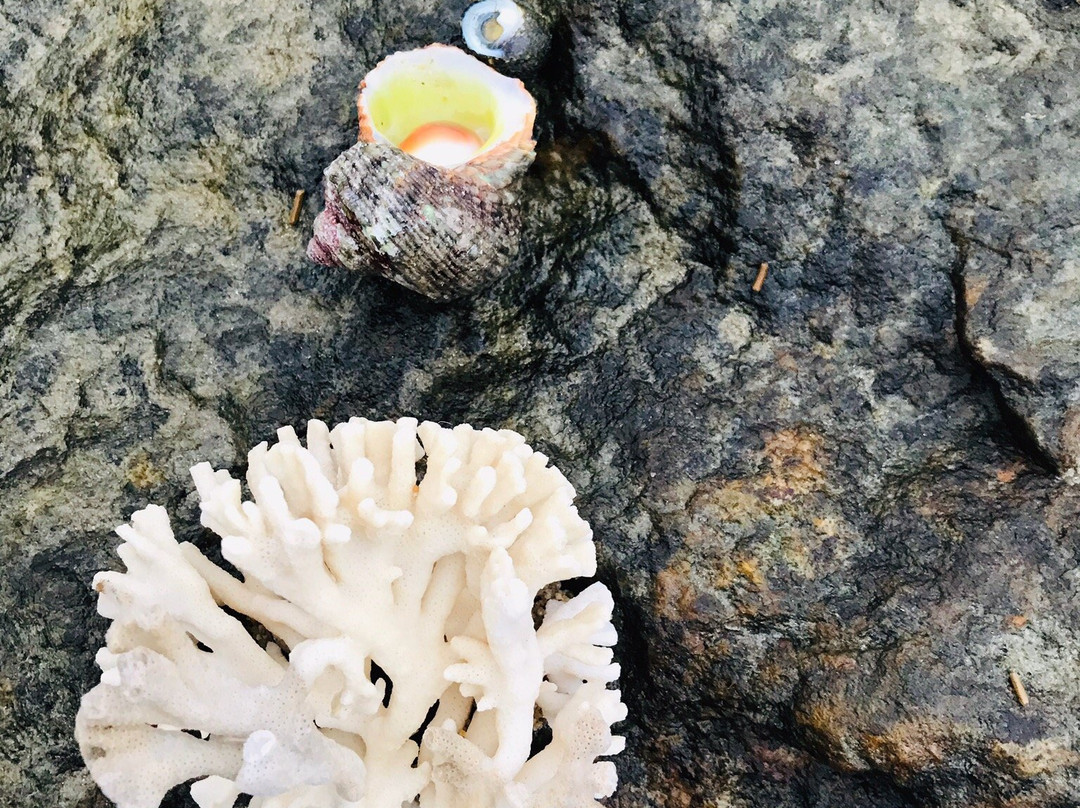 Island Smiles Homestay主图