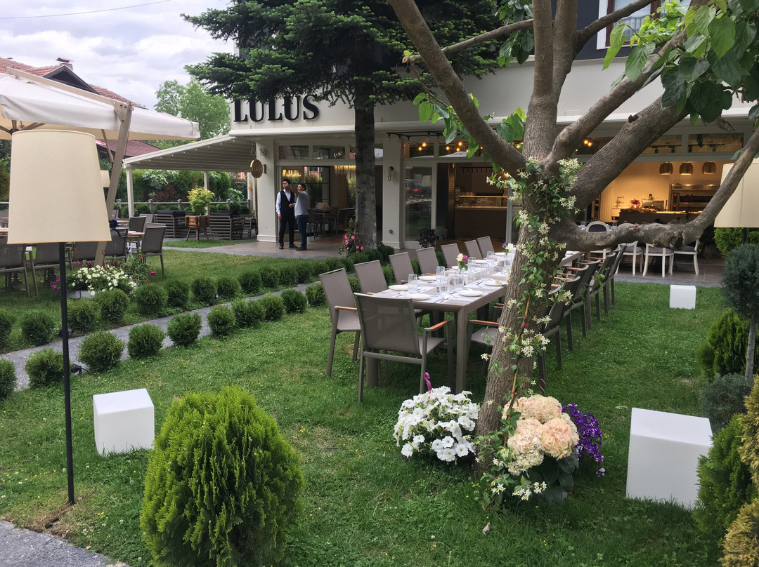 Lulus