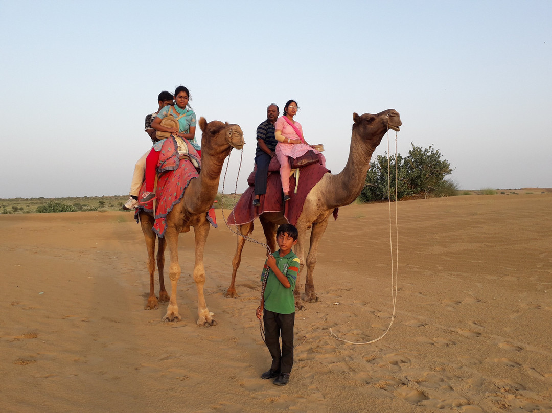 Hotel Sallu Safari景点图片