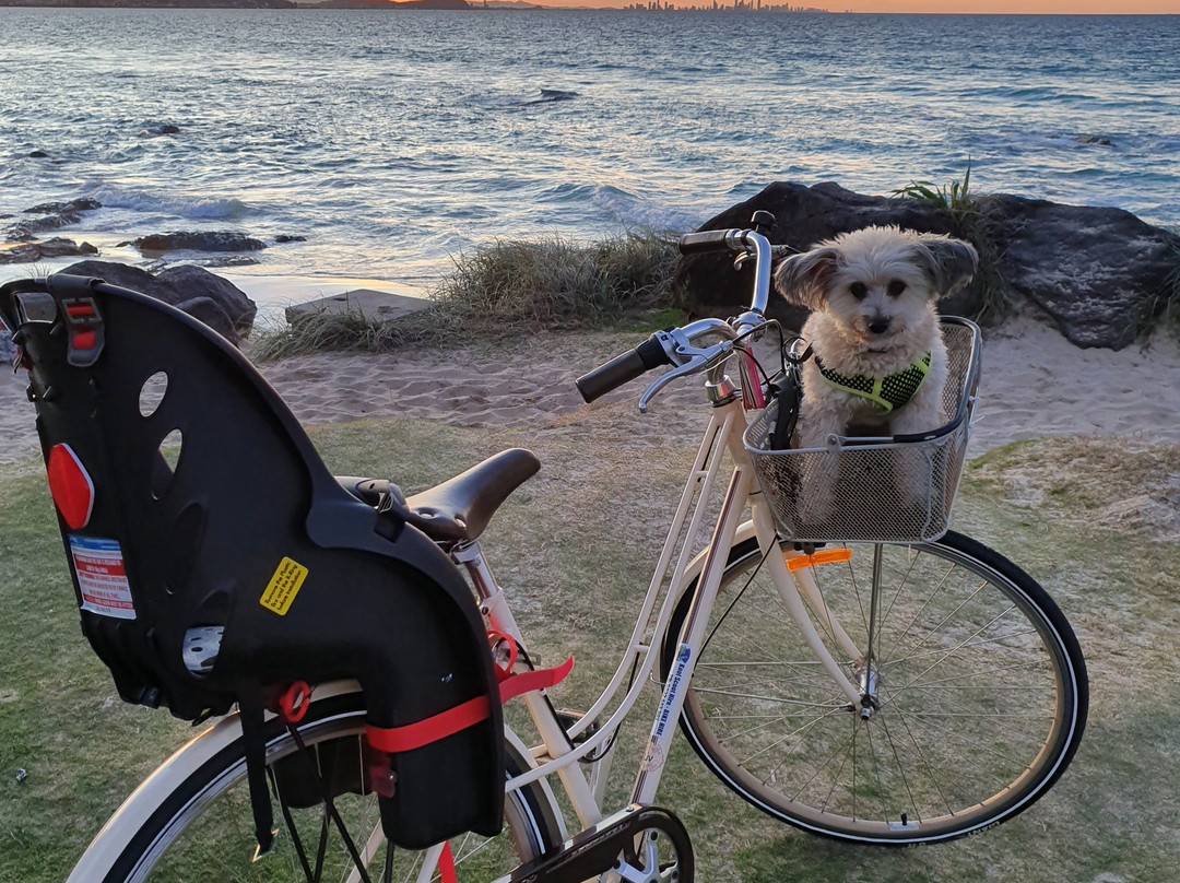 Kool Bike Hire-库伦加塔必去景点