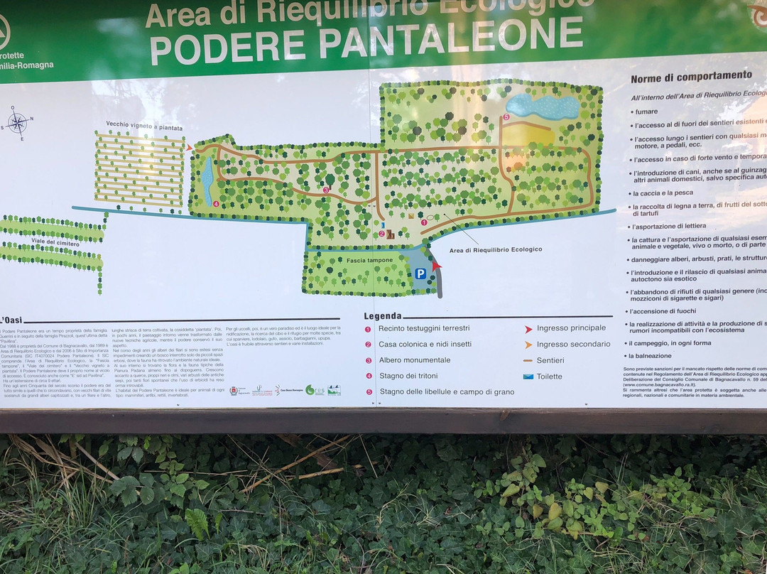 Podere Pantaleone景点图片