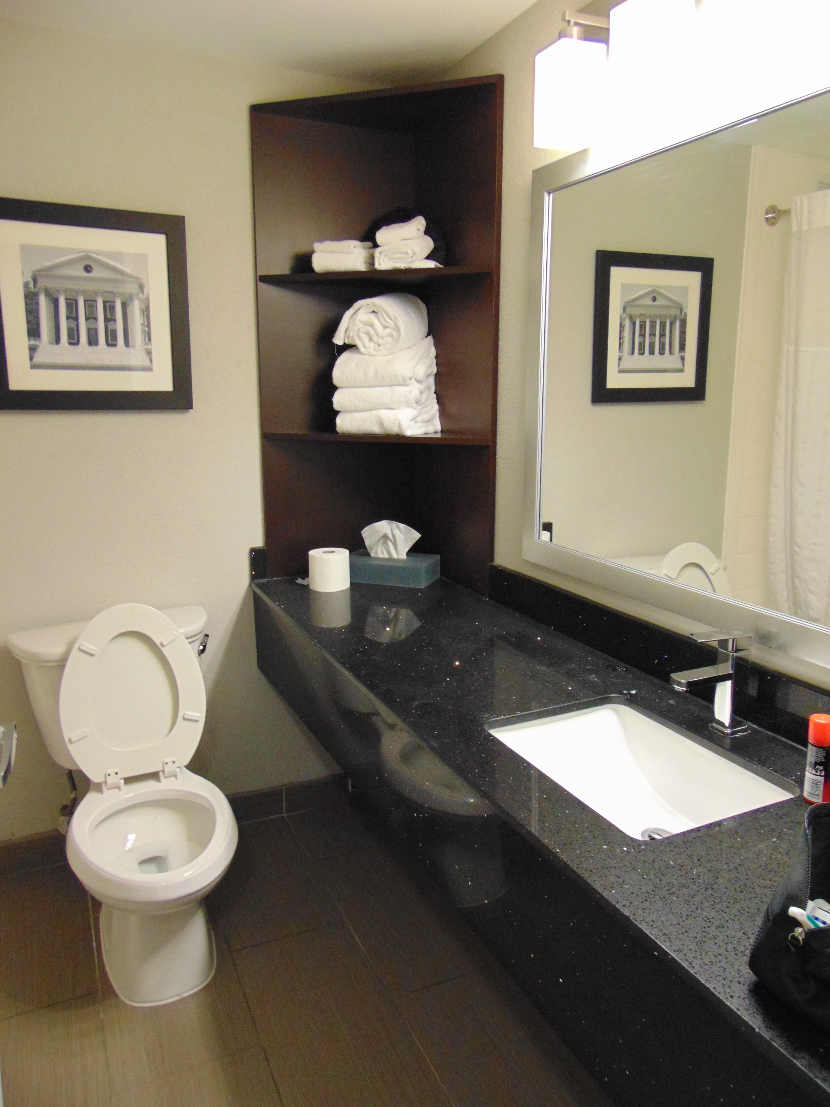 Clarion Pointe Charlottesville-浴室