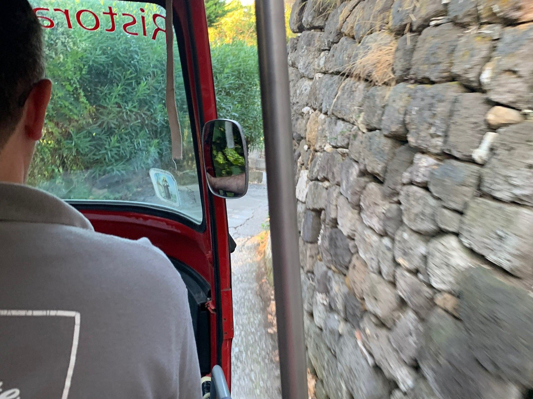Tour Enogastronomico Schiazzano e Tradizioni-马萨卢布伦塞必去景点