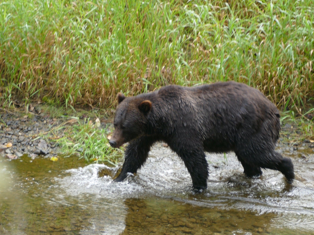 Tweedsmuir Provincial Park-Chilcotin District必去景点