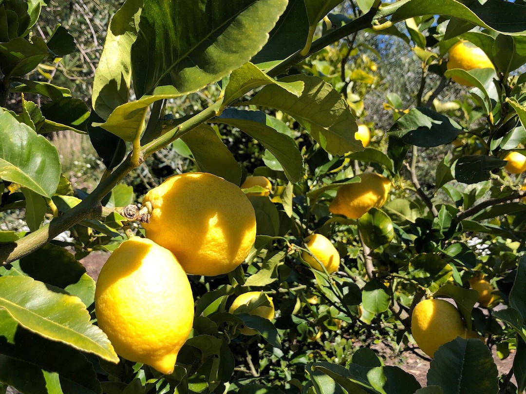 Hunter Gatherer Tours-Havelock North必去景点