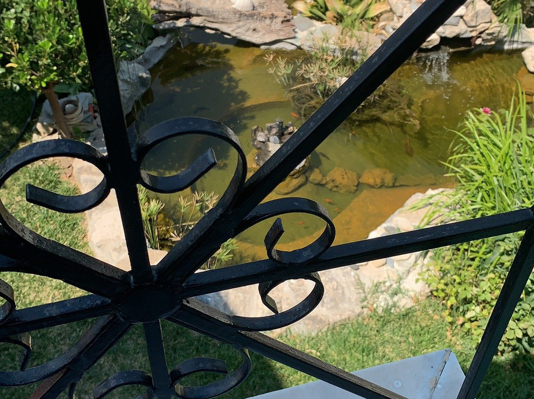 Electra Apartments & Studios主图