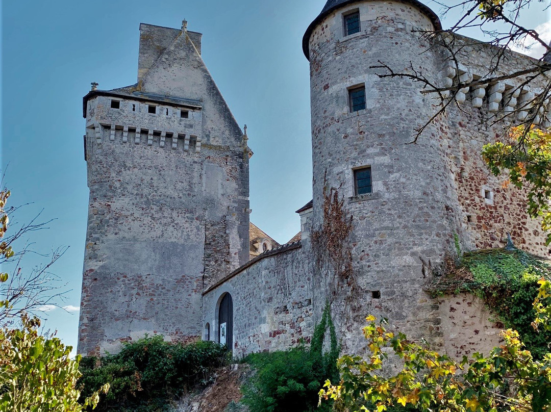 Château du Bouchet景点图片