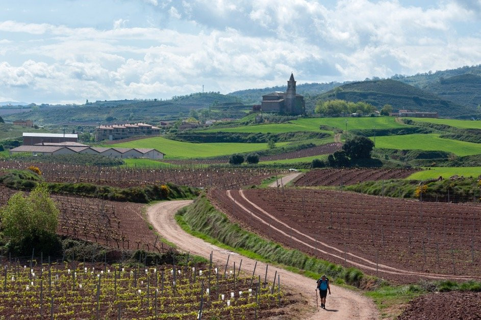 Bodegas Alvia景点图片