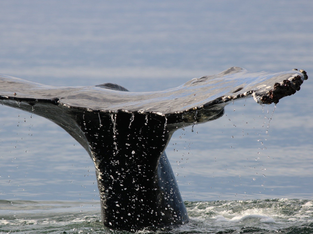 Wooshkeetaan Tours-胡纳必去景点