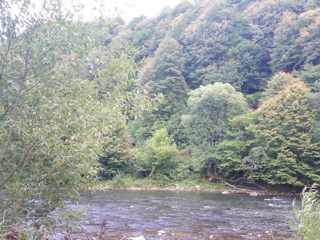 Carpathian Biosphere Reserve景点图片
