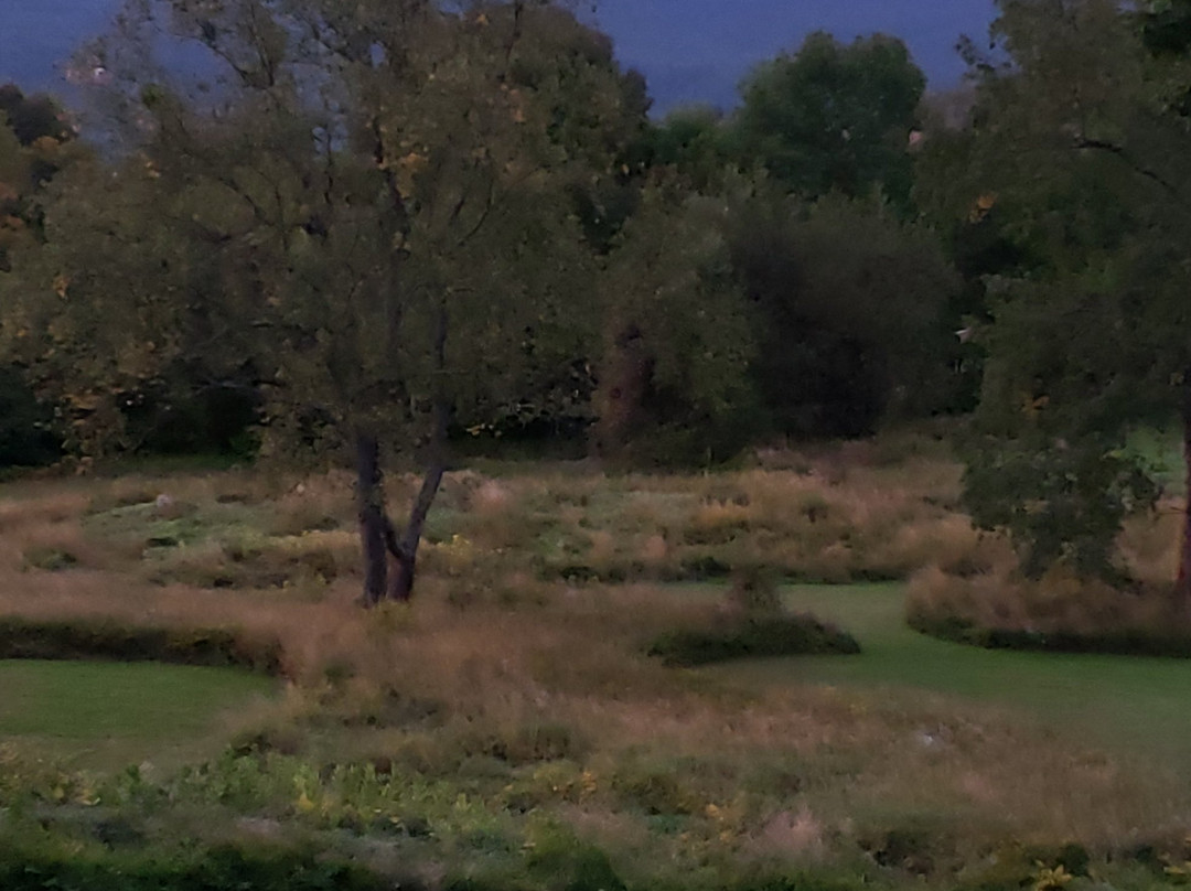 The Sunset Hill House主图