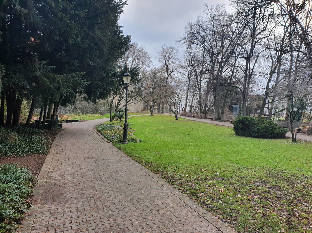 Zwingerpark/wenk-treppe