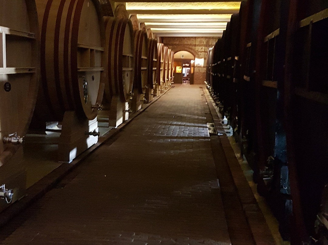 Tikves Winery-Kavadarci必去景点