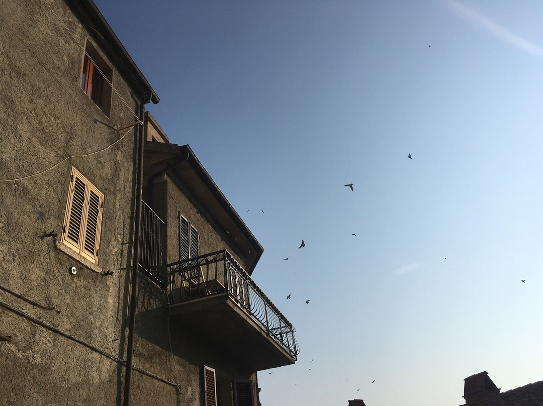 Centro Storico景点图片
