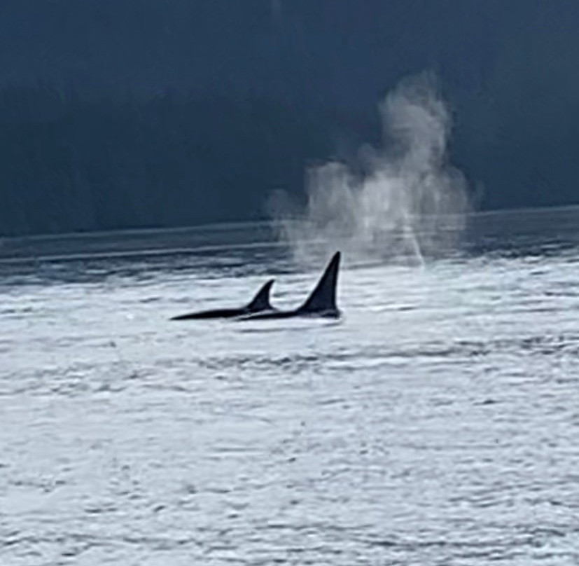 Hoonah Travel Adventures-胡纳必去景点