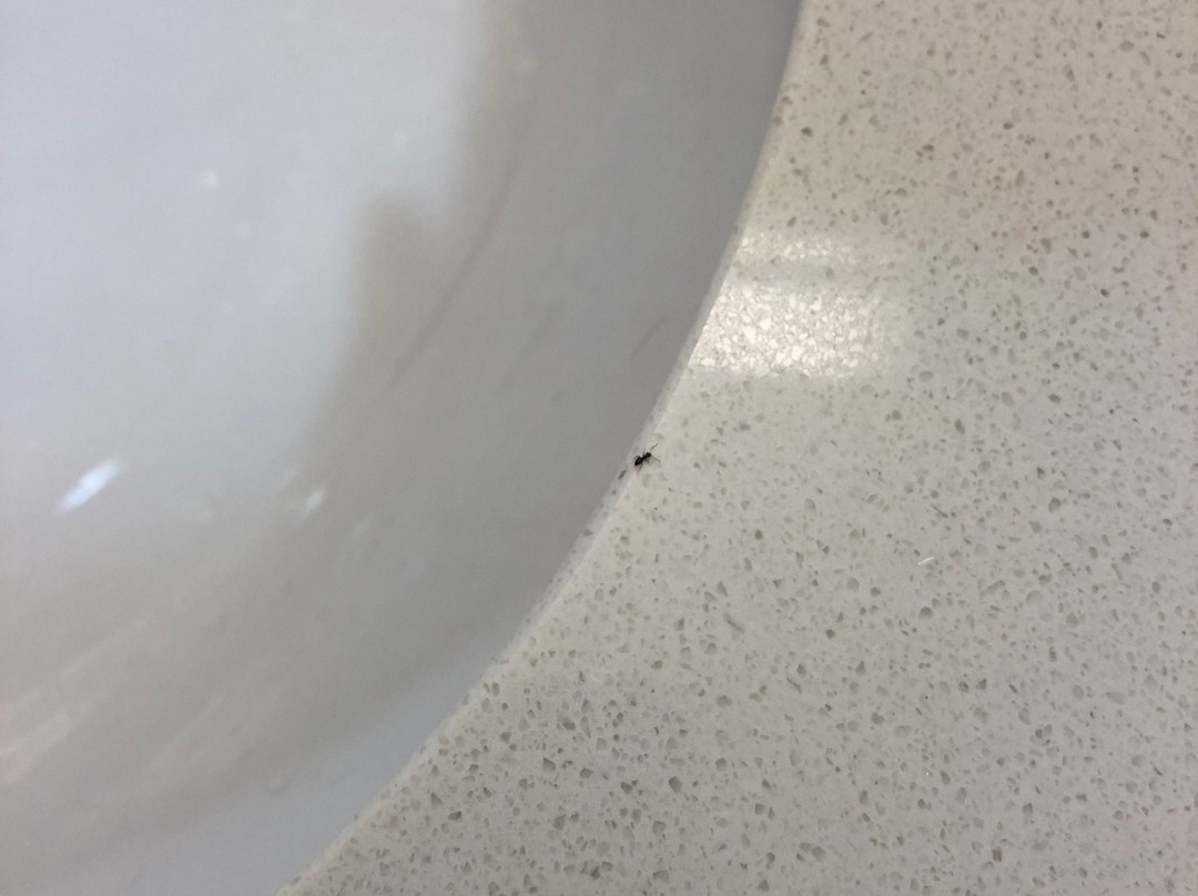 Hampton Inn & Suites Dallas/Richardson主图