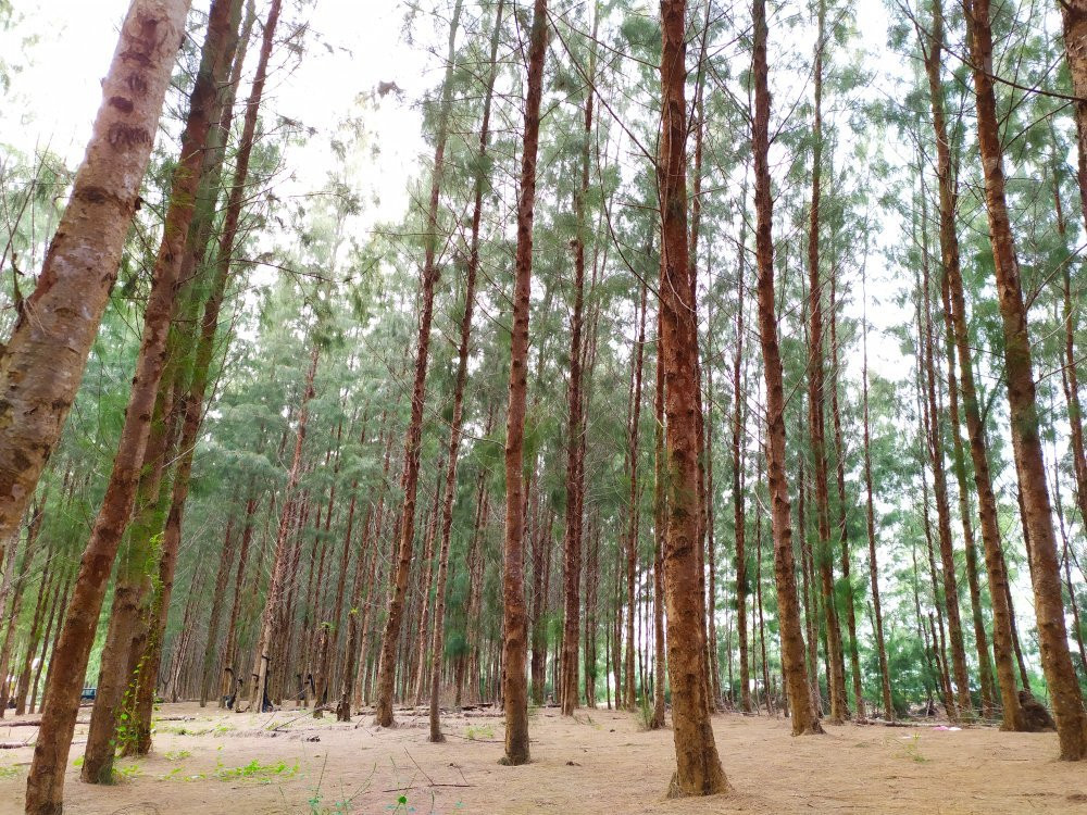 Pantai Kundur-哥打巴鲁必去景点