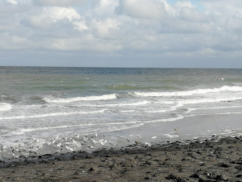 Lighthouse Westkapelle (high)-Westkapelle必去景点