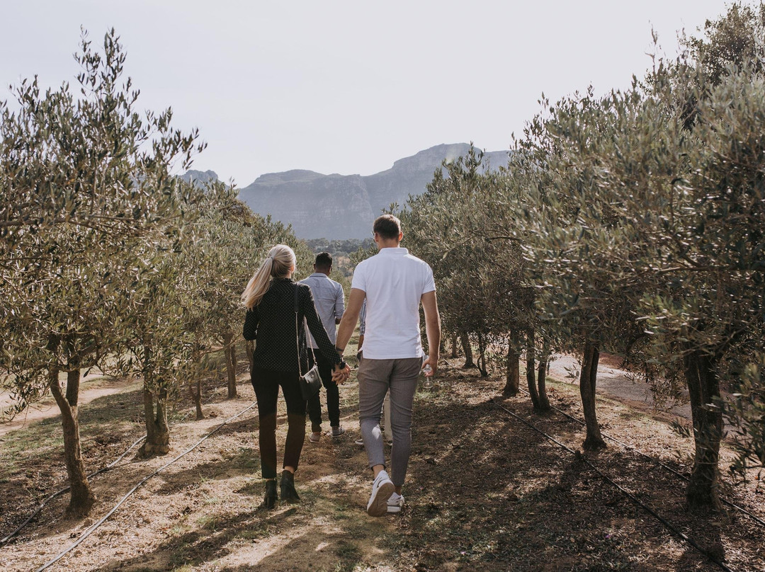 ROCK PAPER TRAVEL-康士坦提亚必去景点