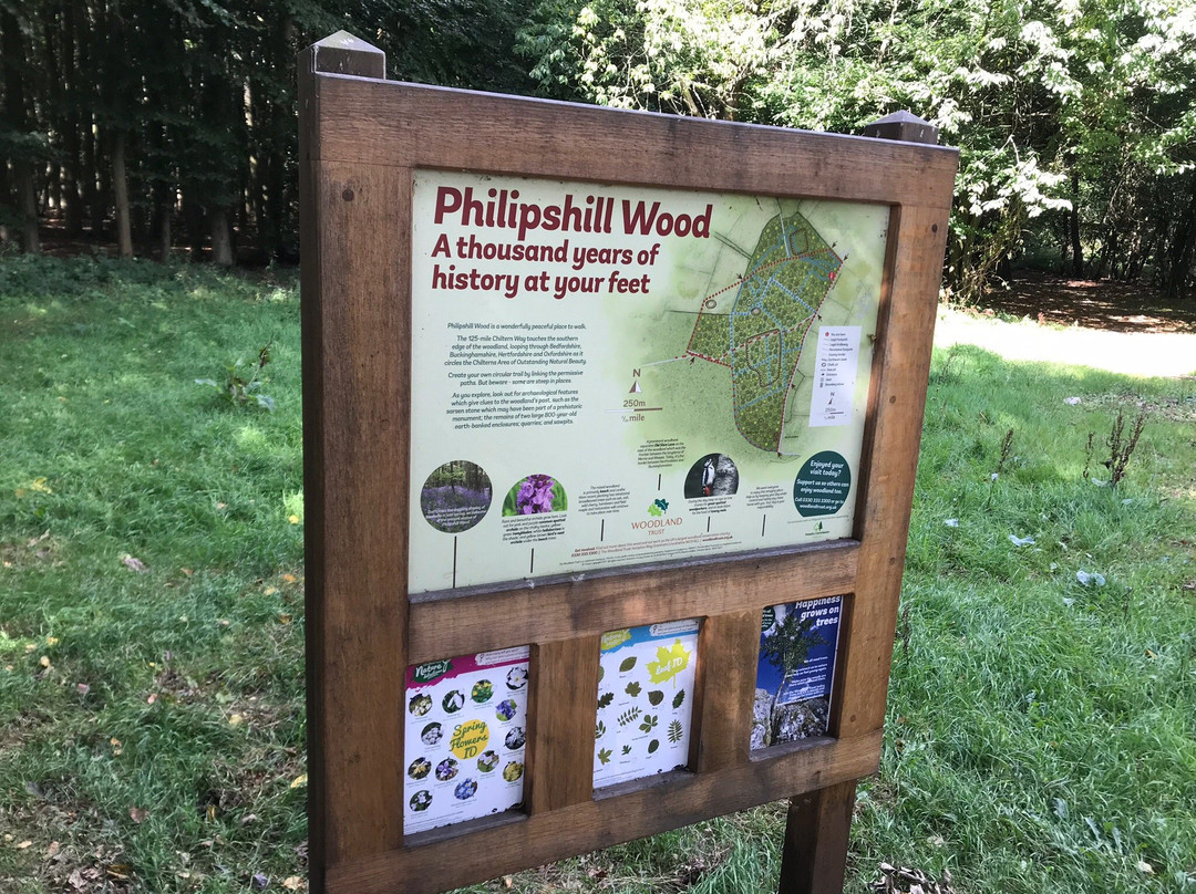 Philipshill Wood景点图片