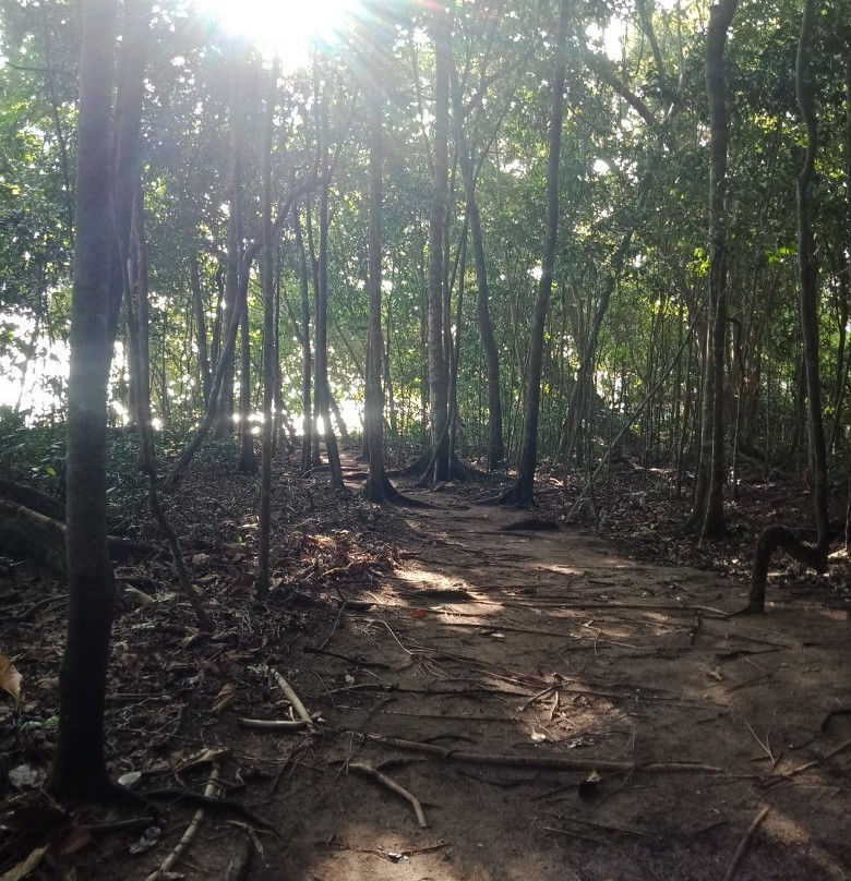 Survivor Island景点图片