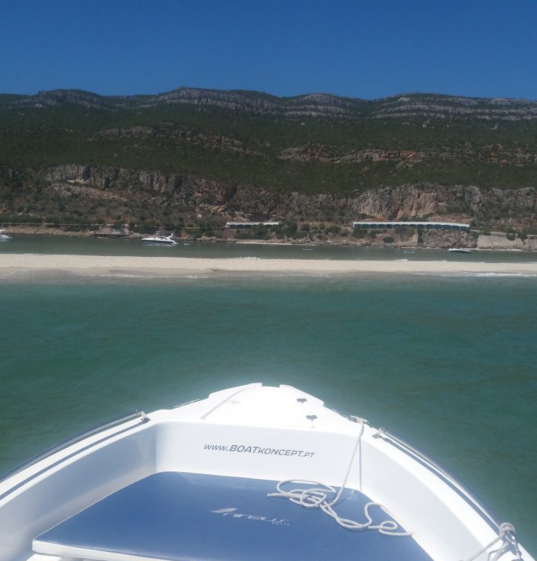 Boat Koncept景点图片