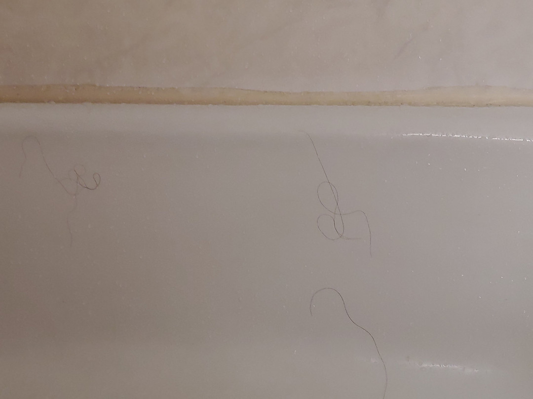 Bangor Grande Hotel & Conference Center主图