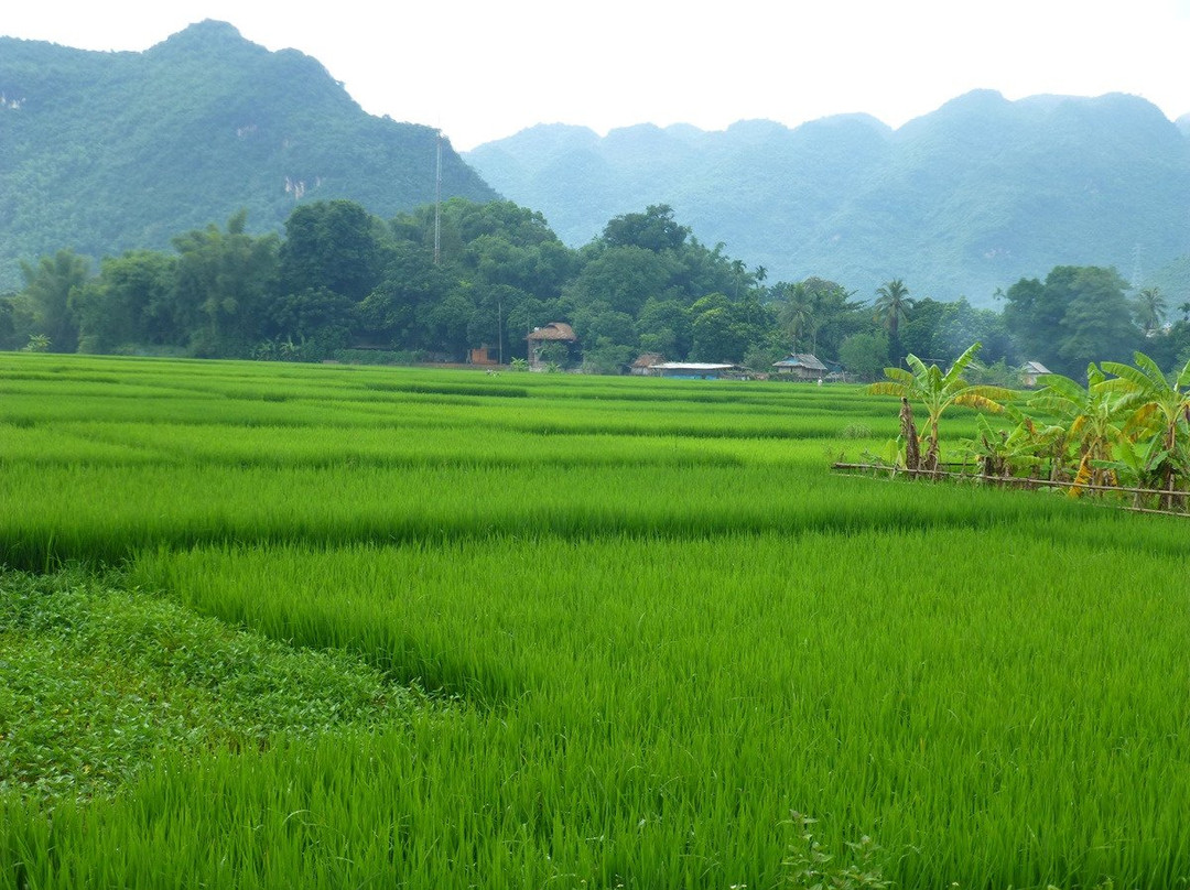 Mai Chau Valley View主图