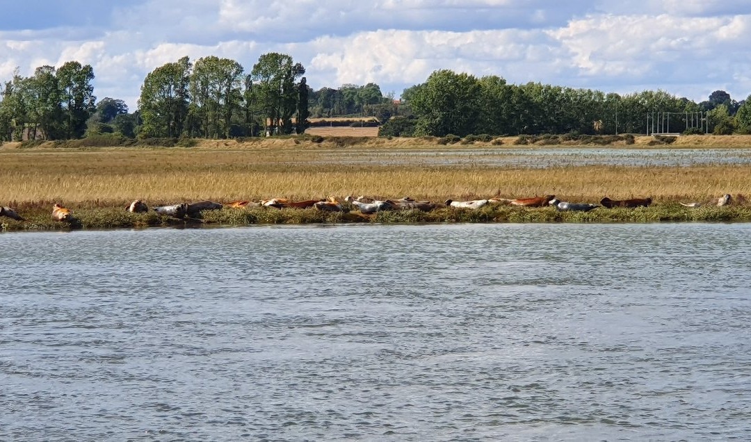 Wildlife Boat Trips景点图片