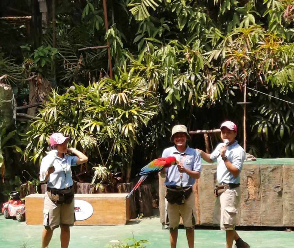 Royal Safari Garden Resort & Convention主图