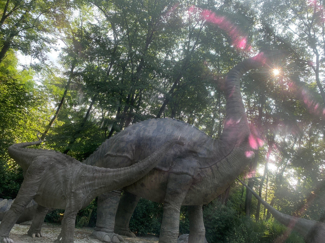 Parco Acquatico Atlantis景点图片