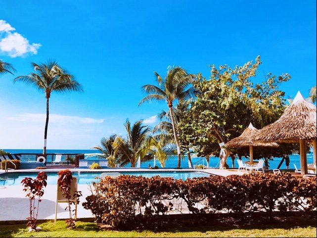 Turtle Nest Inn主图