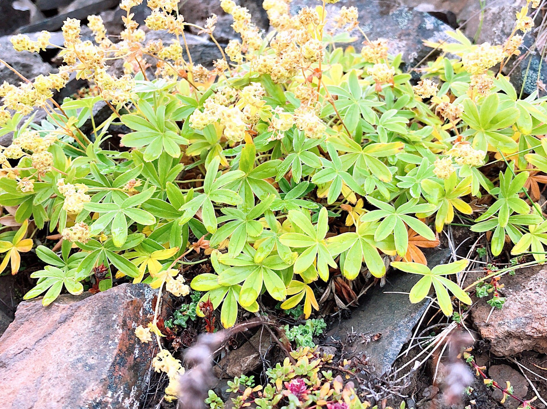 Husafell Hiking-博尔加内斯必去景点