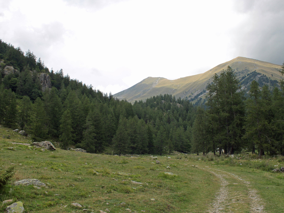 Vallon de Casterino