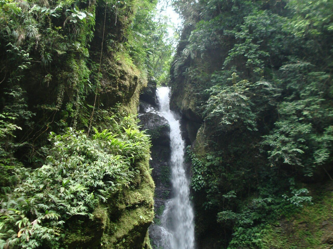 Ditumabo Mother Falls景点图片