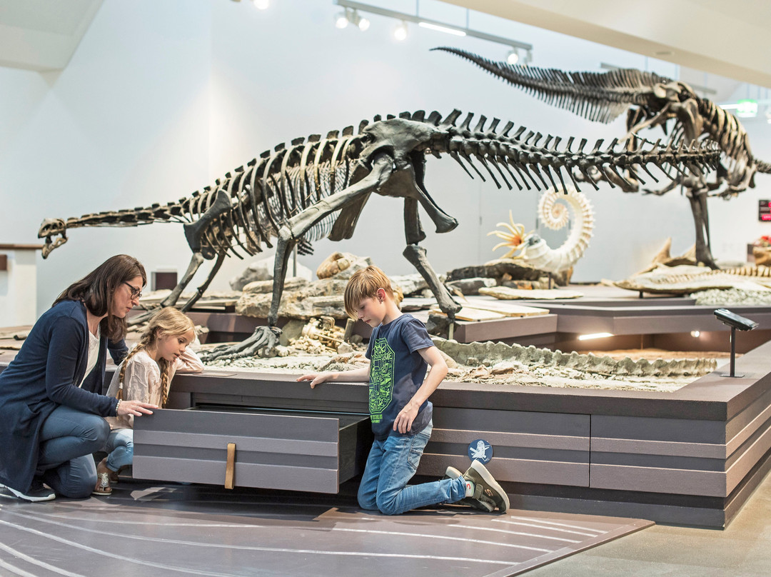Naturmuseum St.Gallen-圣加仑必去景点