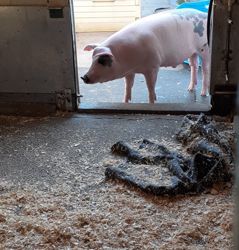 Nature Centre (Le Centre de la nature)-拉瓦尔必去景点