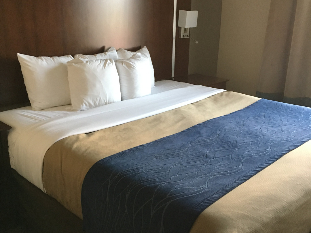 Comfort Inn & Suites Junction City - Near Fort Riley主图