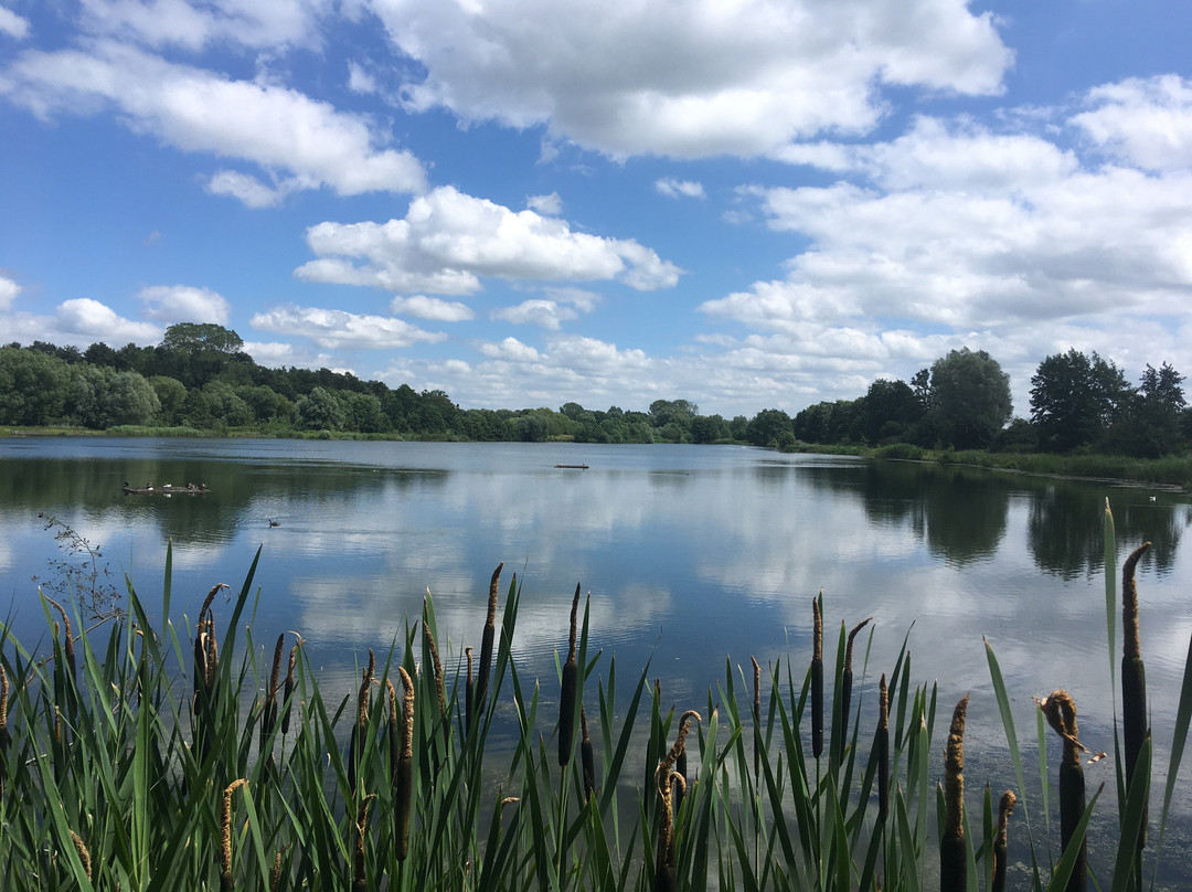 Lackford Lakes景点图片