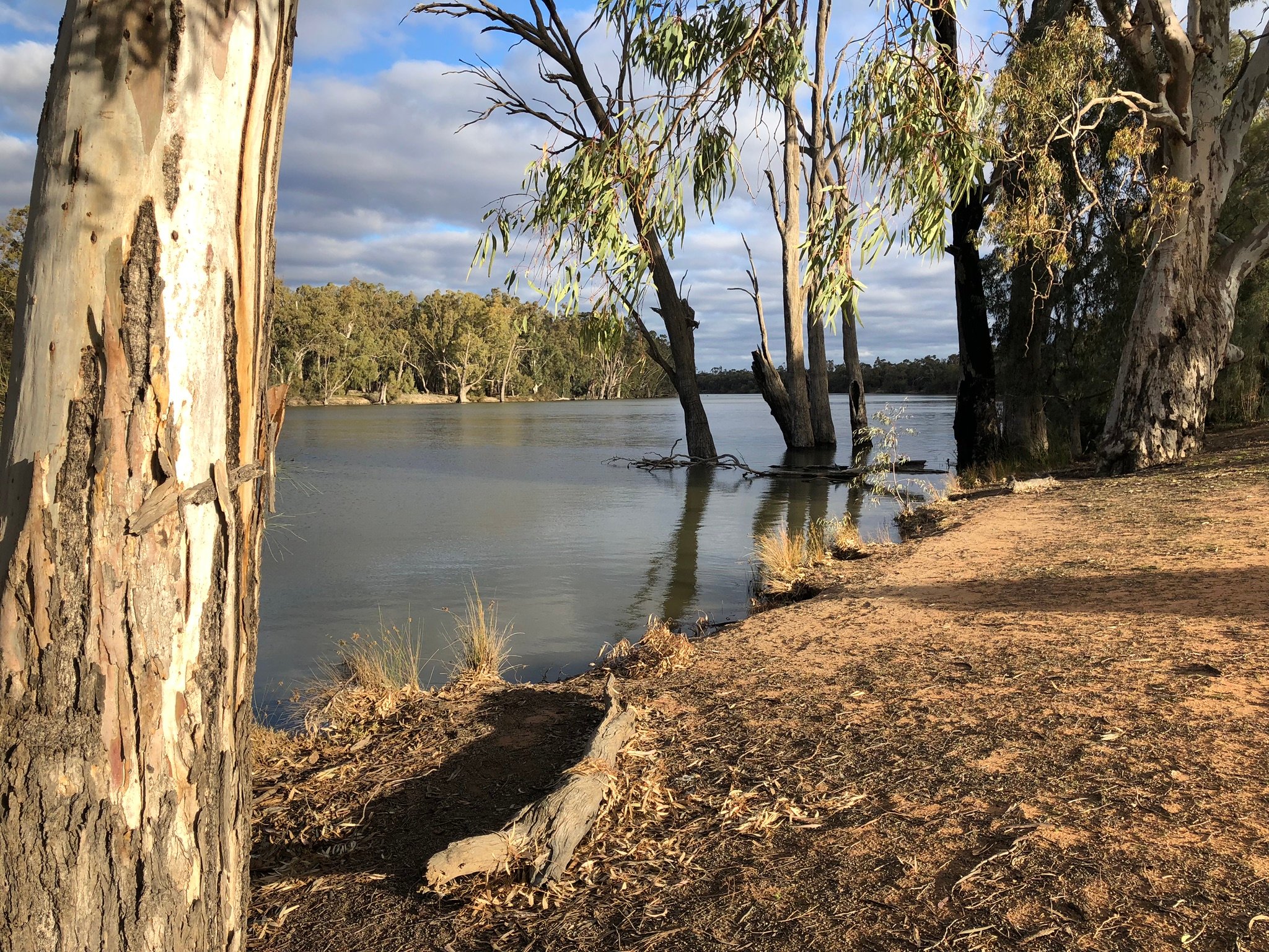 Euston Club Resort-官方