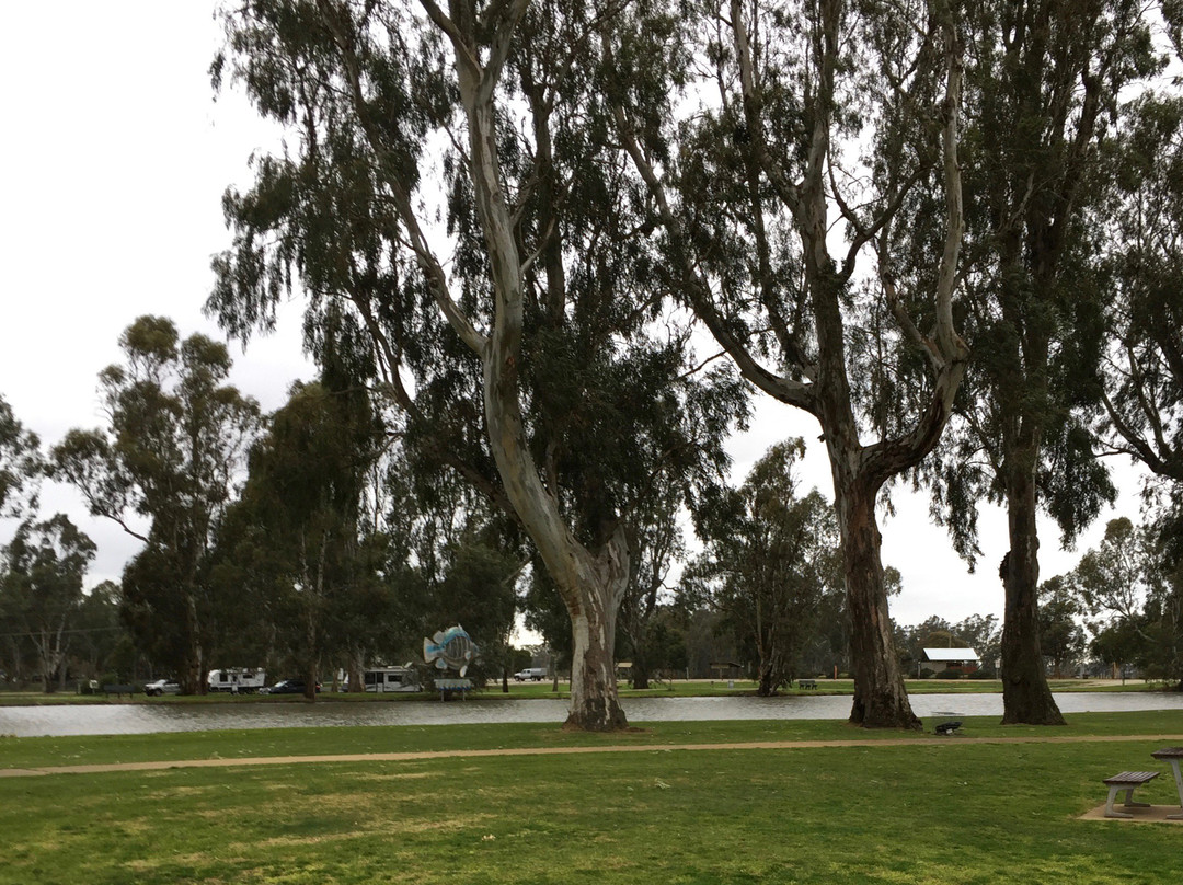 Cohuna Visitor Information Centre-Cohuna必去景点