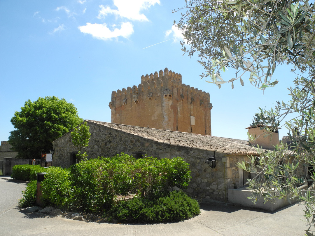 Torre De Canyamel景点图片