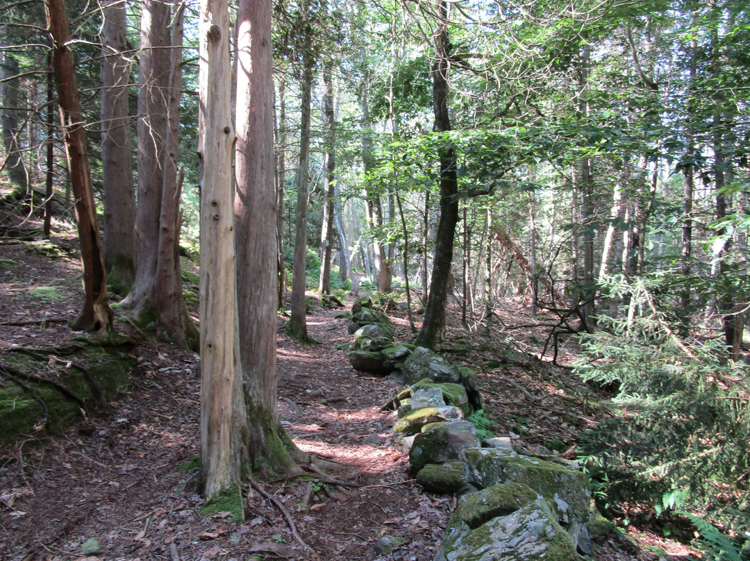 Devil’s Back Trail-奥尔岛必去景点