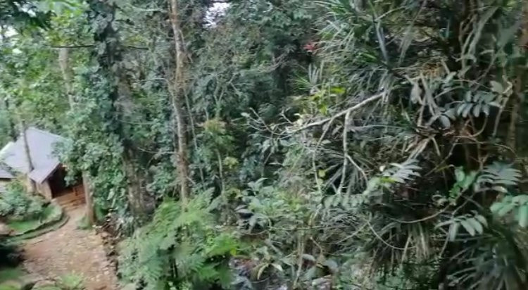 The Line A Mindful Retreat主图