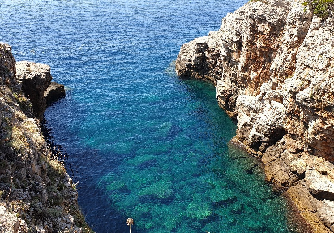 Lokrum Island景点图片